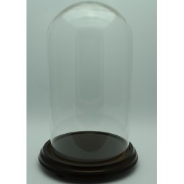 Fanal o urna de cristal Altura 20 x Diametro 12 cm.